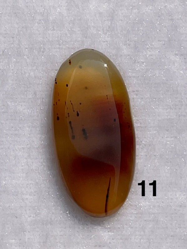 Multi coloured brown lace agate cabochons.