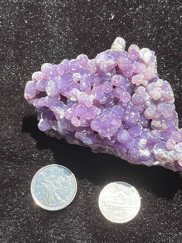 Compact dark purple grape agate crystal next to coins for size comparison