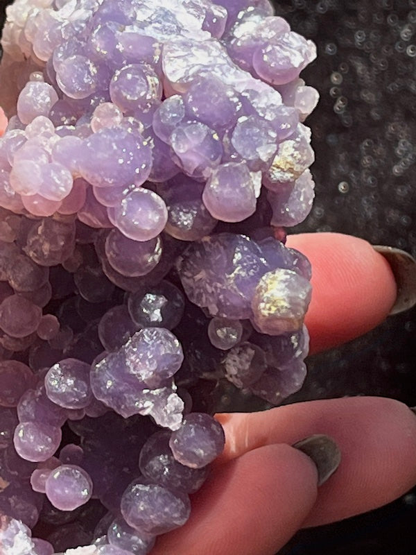 Lots of depth in the dark amethyst grape cluster
