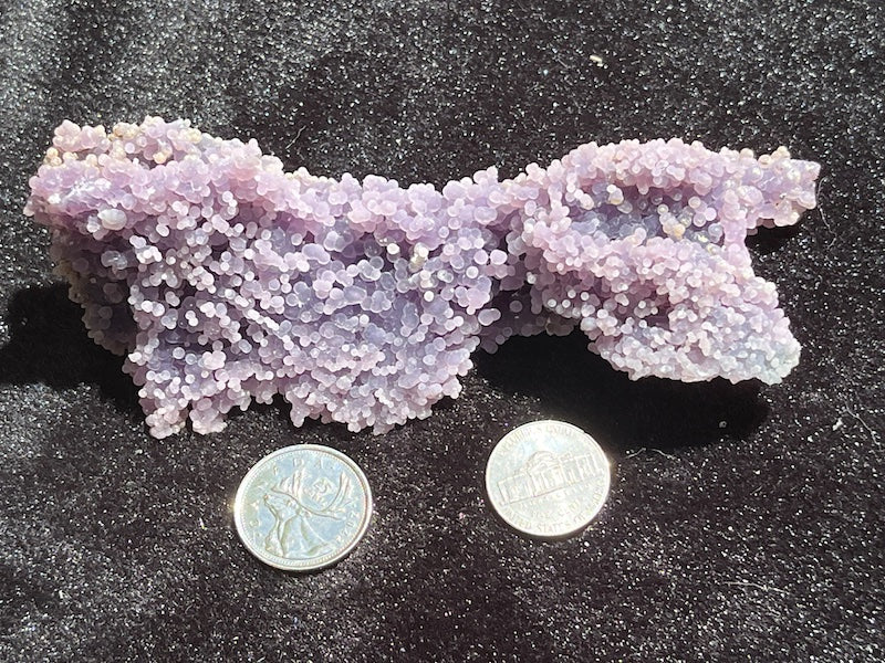 Grape agate number 7 with Canadian quarter and American nickel for size comparison