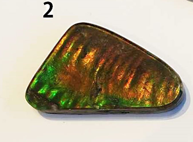 Ammolite Cabs, freeform, Large A+ quality with lots of fire at 1/2 price