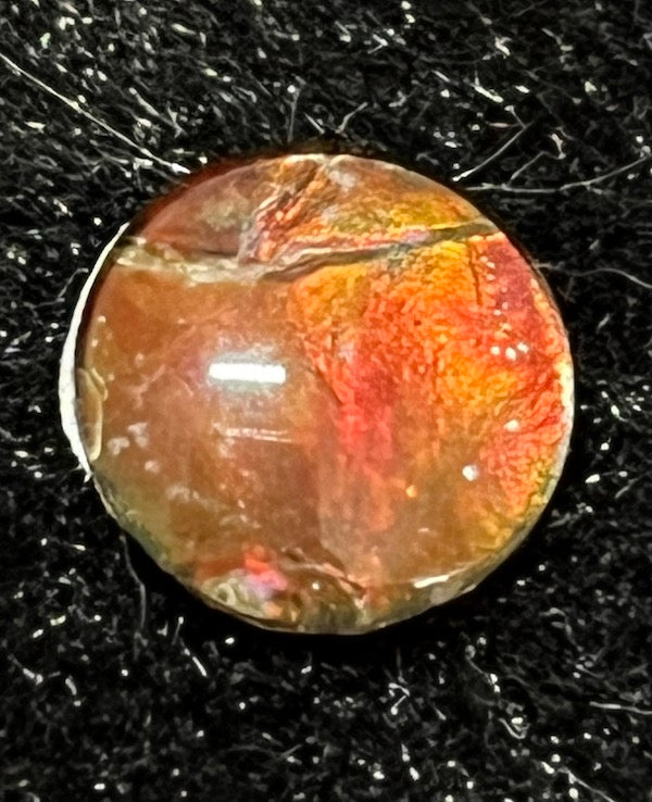 Ammolite Cabs, 10mm round, quality with lots of fire