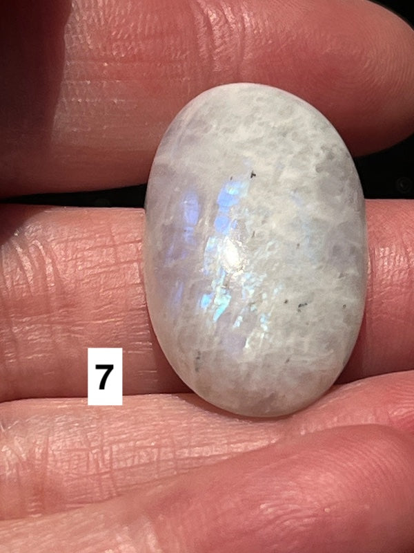 Moonstone, cabochons white with blue flash