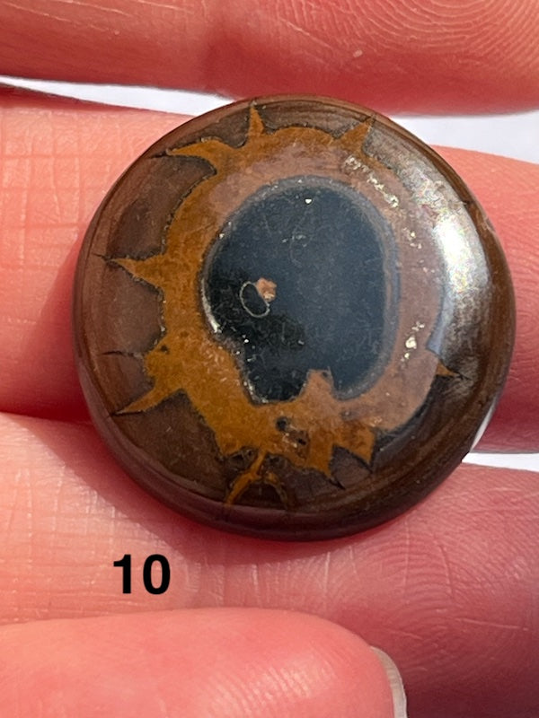 Septarian Cabochons with amazing patterns and crystal veins