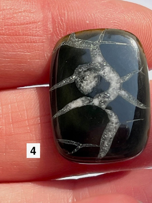 Septarian Cabochons with amazing patterns and crystal veins