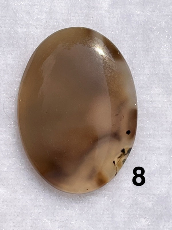 Multi coloured brown lace agate cabochons.