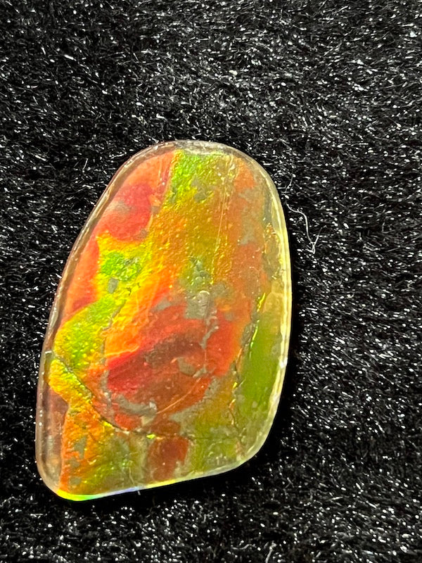 Ammolite Cab, freeform, 30 x 18 mm