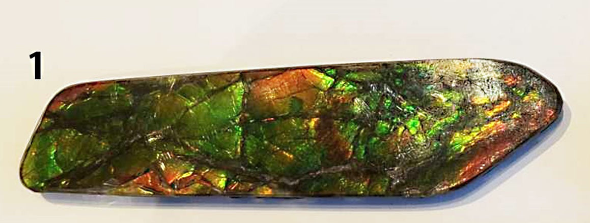 Ammolite Cabs, freeform, Large A+ quality with lots of fire at 1/2 price