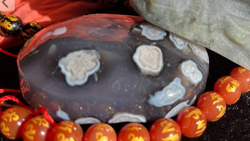 Black Flower Agate Palm stones - Truly Magnificent