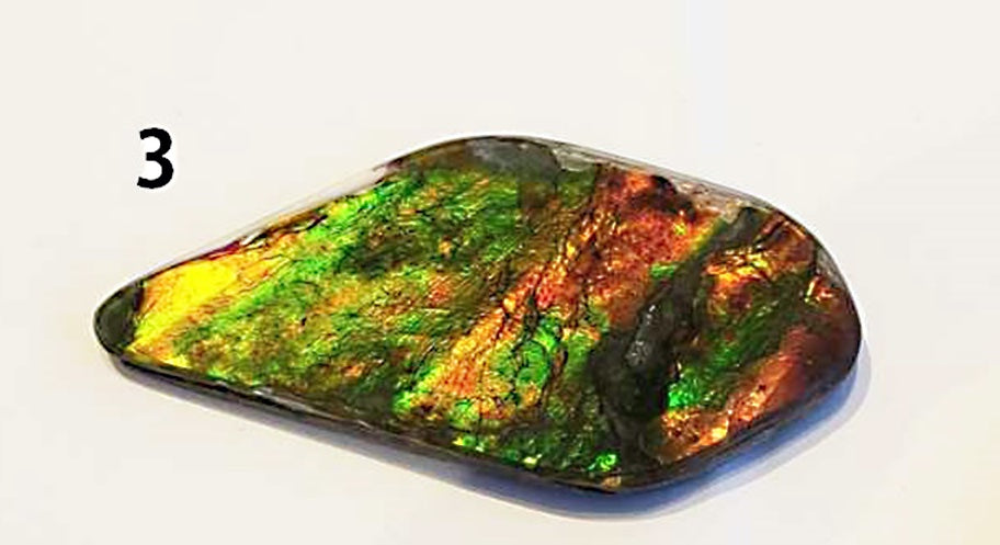 Ammolite Cabs, freeform, Large A+ quality with lots of fire at 1/2 price