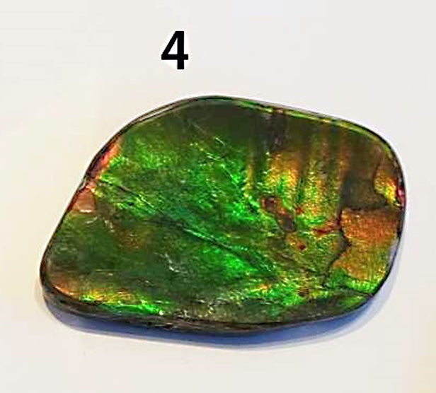 Ammolite Cabs, freeform, Large A+ quality with lots of fire at 1/2 price