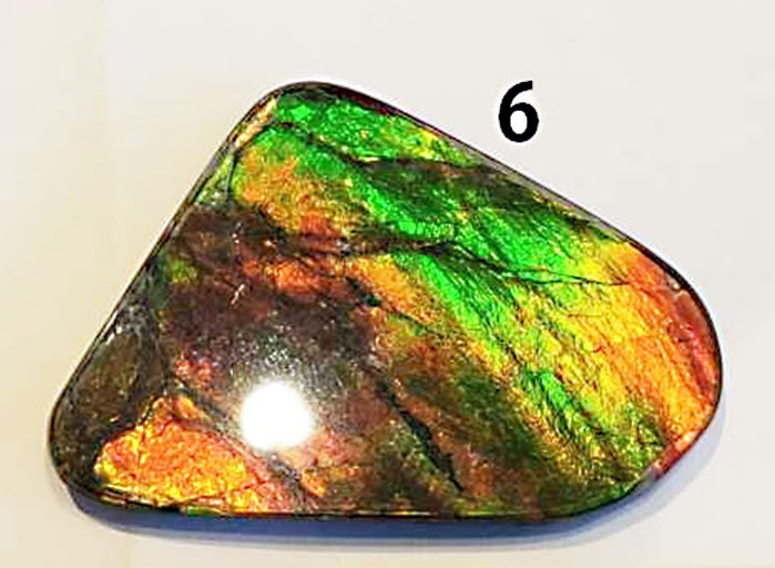 Ammolite Cabs, freeform, Large A+ quality with lots of fire at 1/2 price