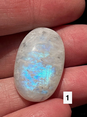 Moonstone, cabochons white with blue flash