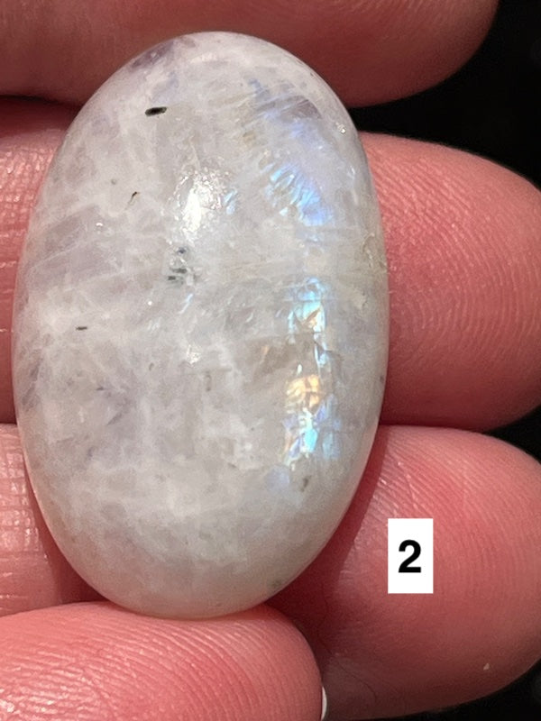 Moonstone, cabochons white with blue flash