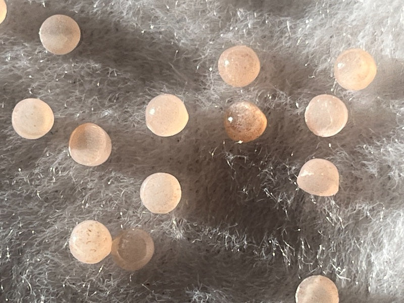 Moonstone Peach Cabochon Round