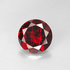 邦楽 Gschmitt alternative garnet 邦楽 Gschmitt alternative garnet G SCHMITT - Alternative